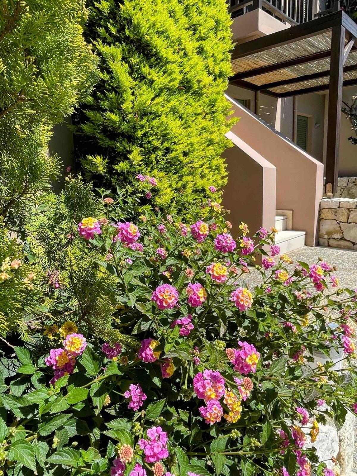 Annamaria Sea Side View Studio- 25M From The Beac Плакиас Екстериор снимка